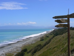 New Zealand's South Coast at Te Waewae Bay